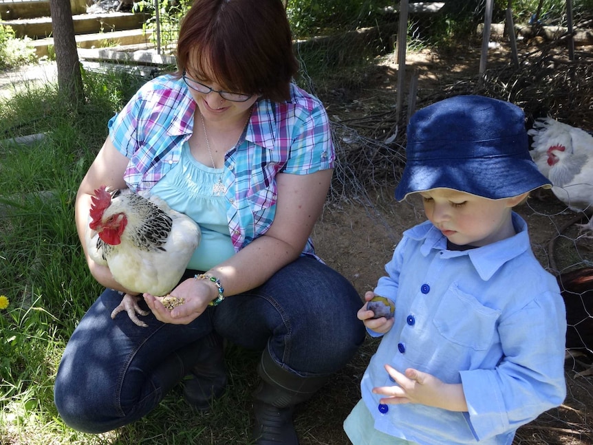 Member of the group Canberra Backyard Poultry Aileen Tong with her son and a coronation Sussex chicken.