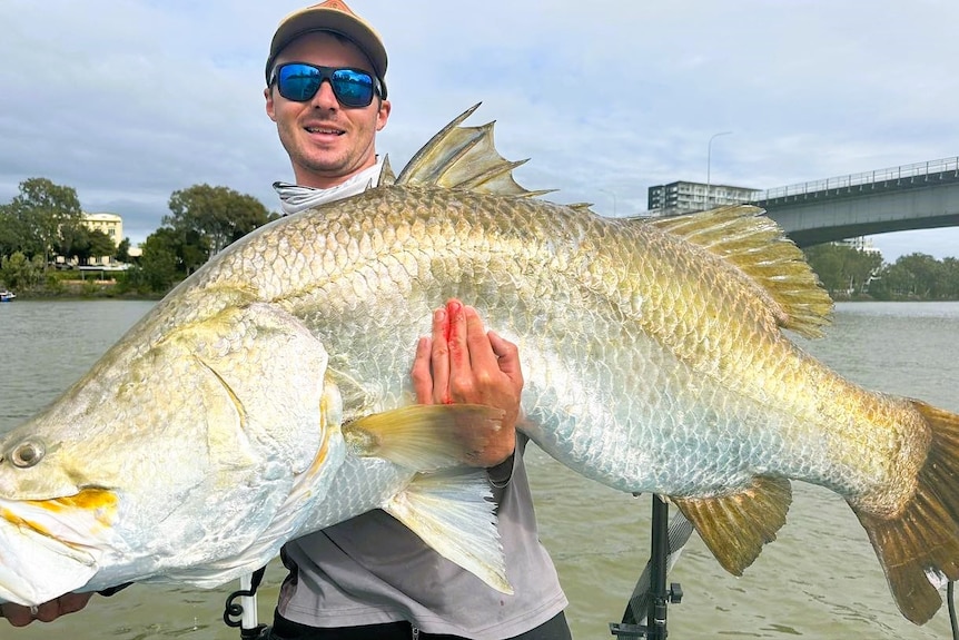 A man holding a large barramundi fish in a river.