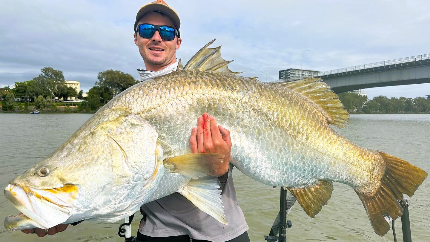 Best barramundi season on record for Rockhampton&amp;#39;s Fitzroy River ...