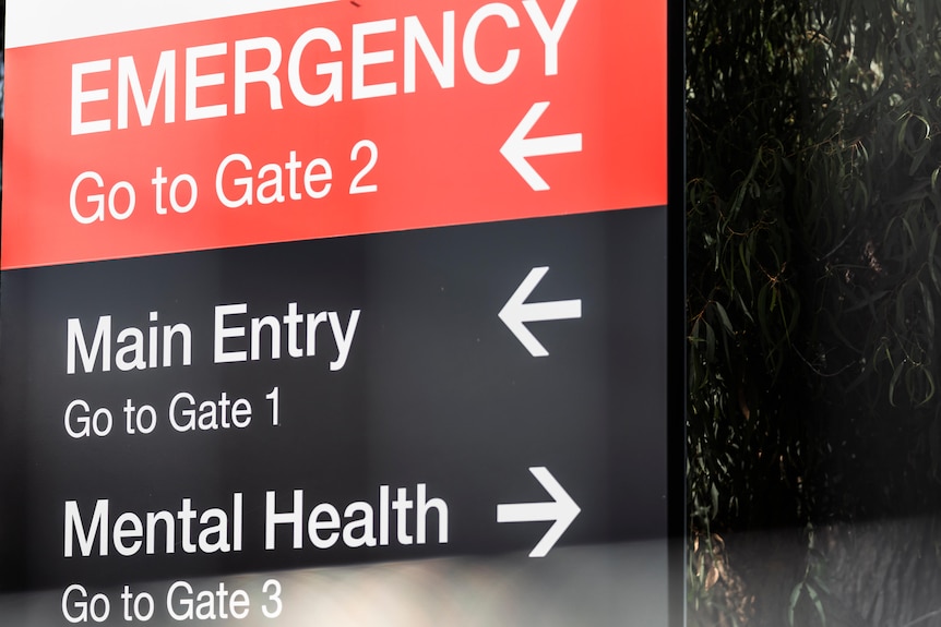 A hospital sign showing the way to emergency and the main entry.