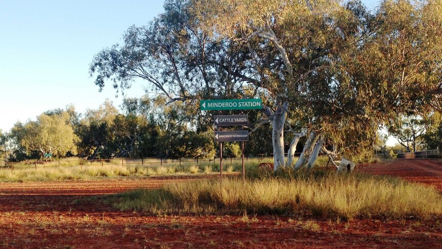 Minderoo Station driveway