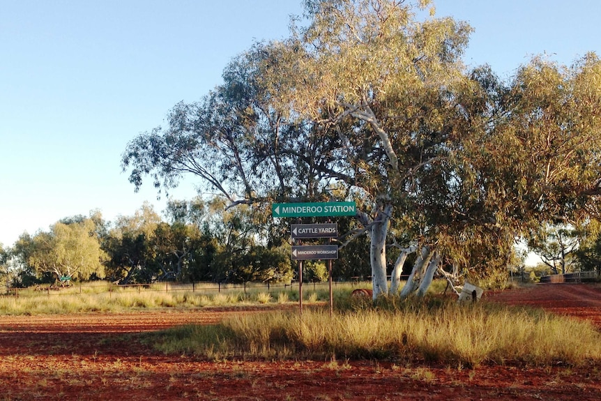 Minderoo Station driveway