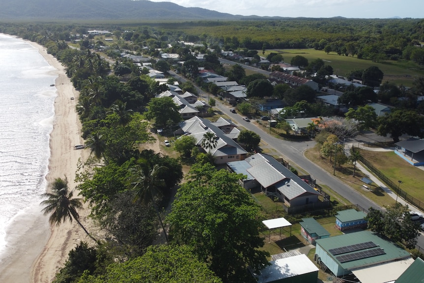 A view from above showing the beach and a line of trees next to a street lined with houses. 