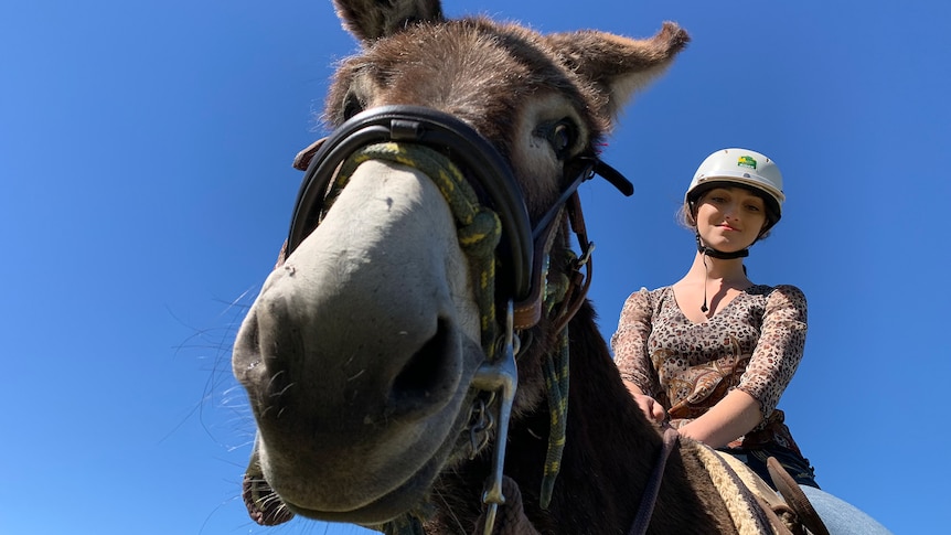 A young woman wearing a helmet sits astride a donkey, smiling.