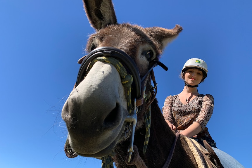A young woman wearing a helmet sits astride a donkey, smiling.