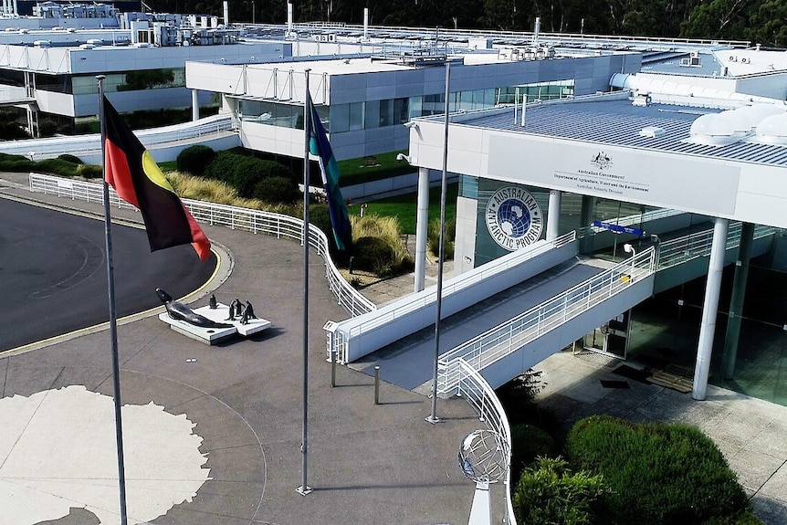 Exterior of a walkway and several buildings with flagpoles out front and statues of penguins.