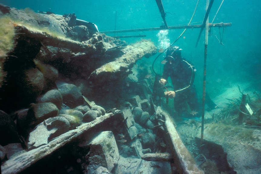A diver inspects a shipwreck.