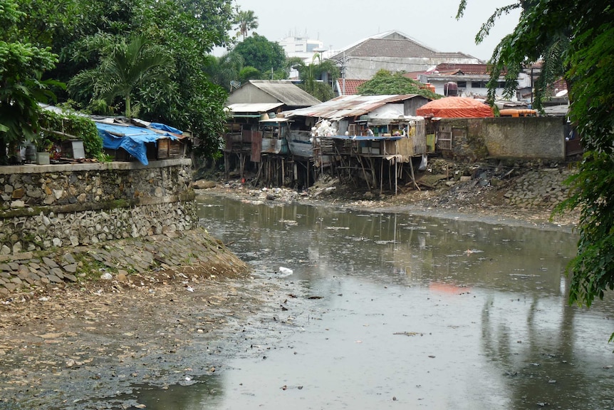 The Ciliwung River