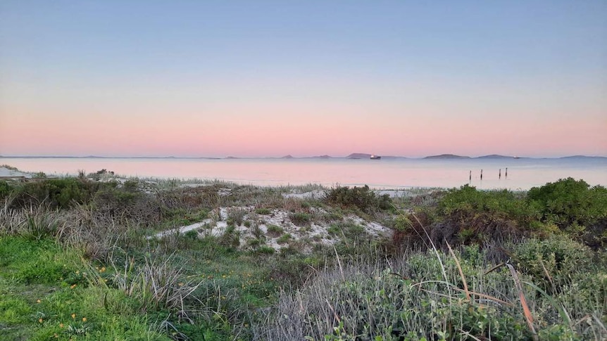 The beach at sunset. The sky is a pink-orange colour and there is green shrubbery in the foreground