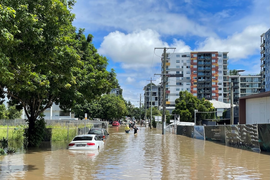 Cars are submerged by floodwater on a street in Brisbane.