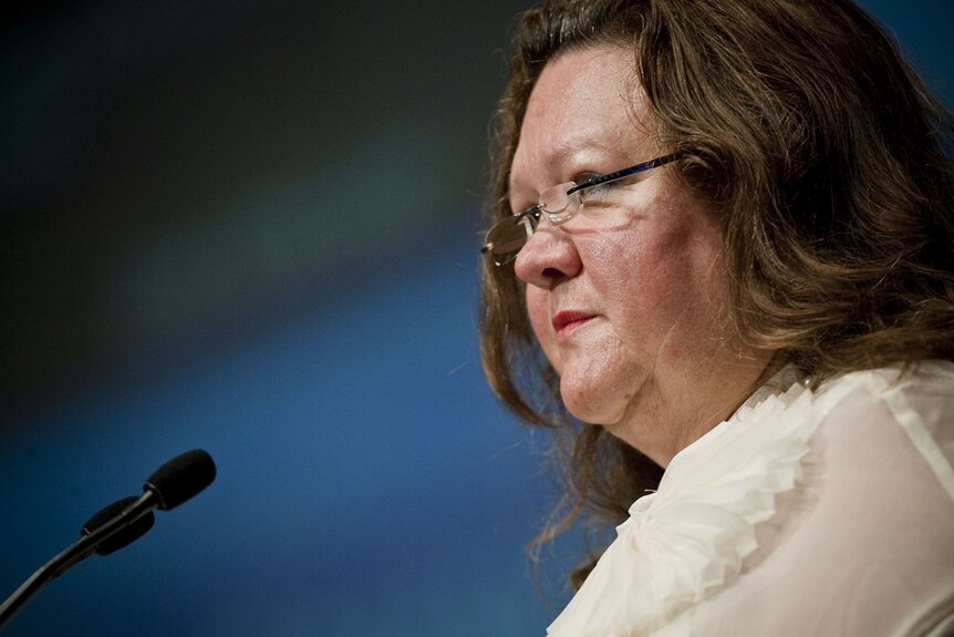Gina Rinehart said her bid for S Kidman and Co is better and will grow the brand.