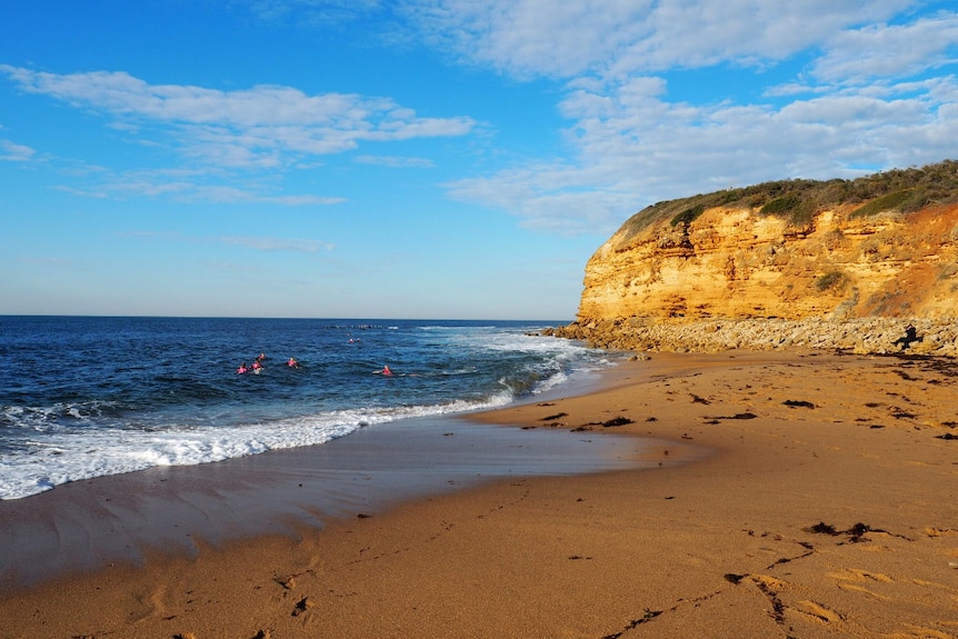 A yellow sandstone cliff meets the beach on a sunny day. Six surfers in pink rash vests paddle out into mostly flat conditions.