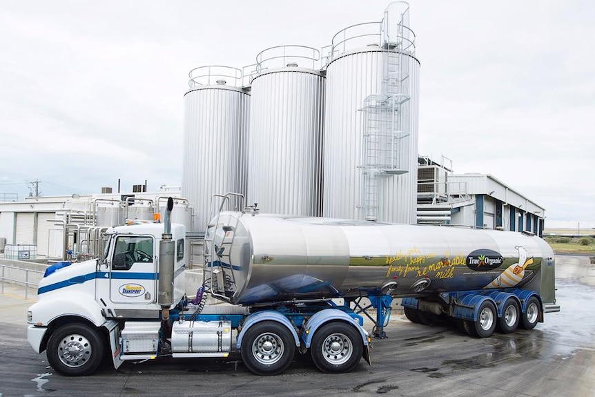 True Organic milk tanker in front of milk factory in Geelong, Victoria