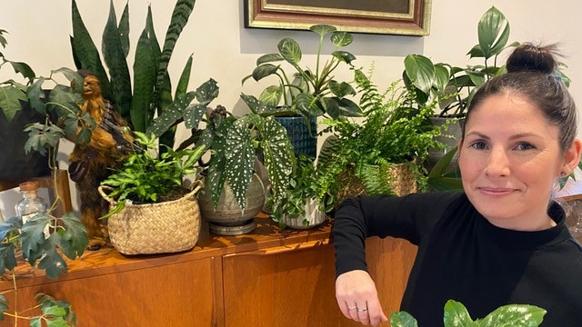 Woman poses with her indoor plant collection at home, she has experimented with misting some for humidity and growth.