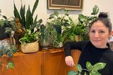 Woman poses with her indoor plant collection at home, she has experimented with misting some for humidity and growth.