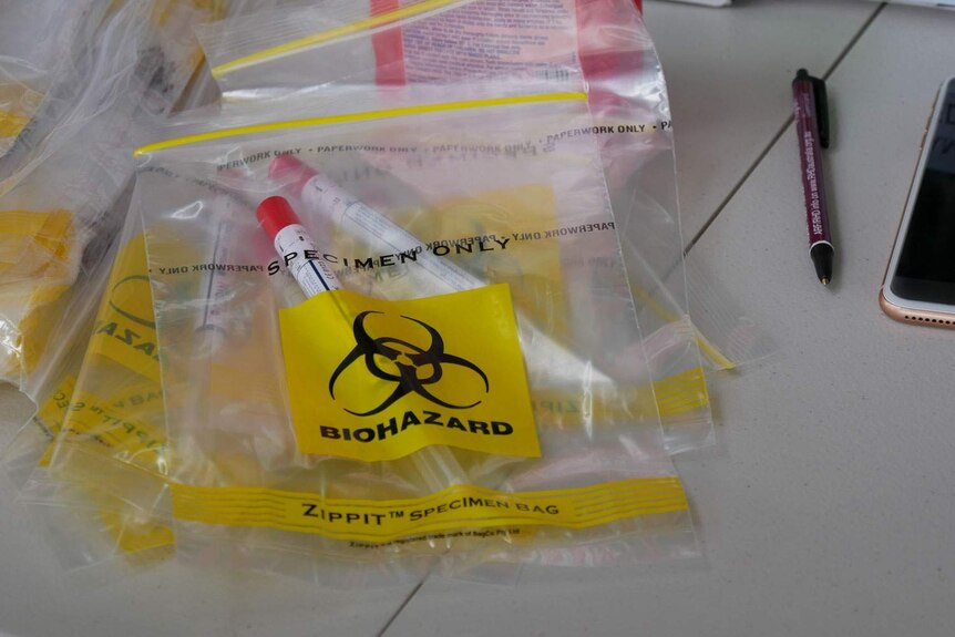 Coronavirus test samples in plastic specimen bags on a table.