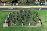 An overhead photo of a small fenced space with trees, bushes and ground cover, in a wider grassy area, road in the distance.