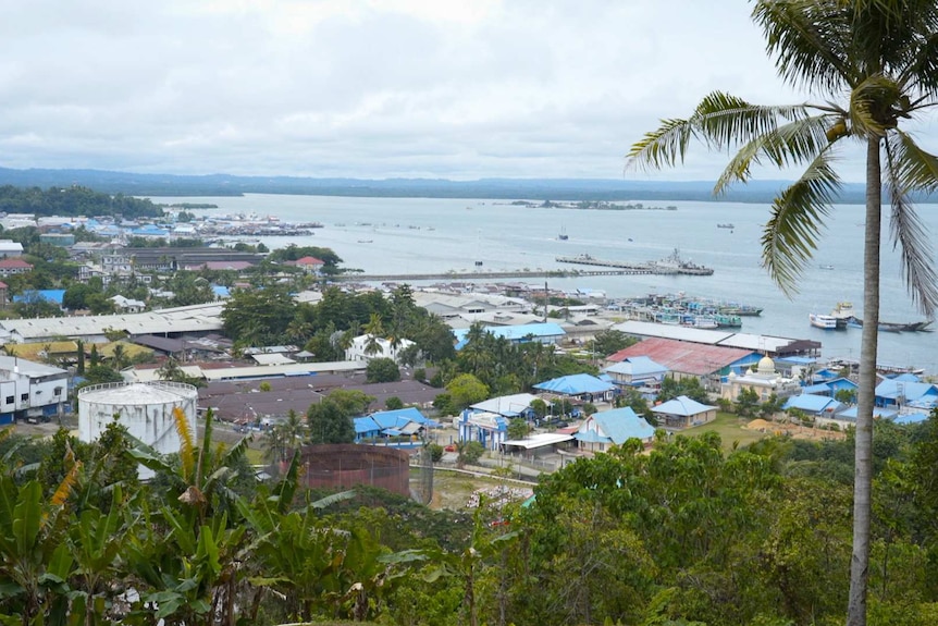 A view across a town skirting a bay. Palm trees are in the foreground.