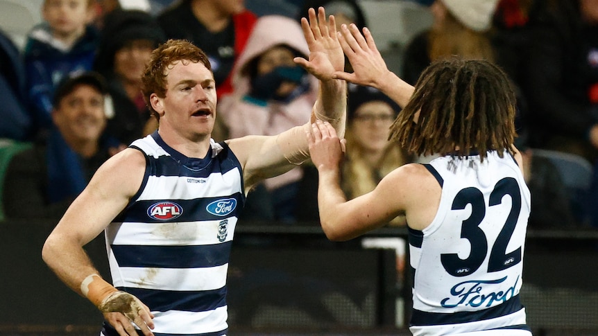 Two Geelong AFL players congratulate each other after a goal was kicked.