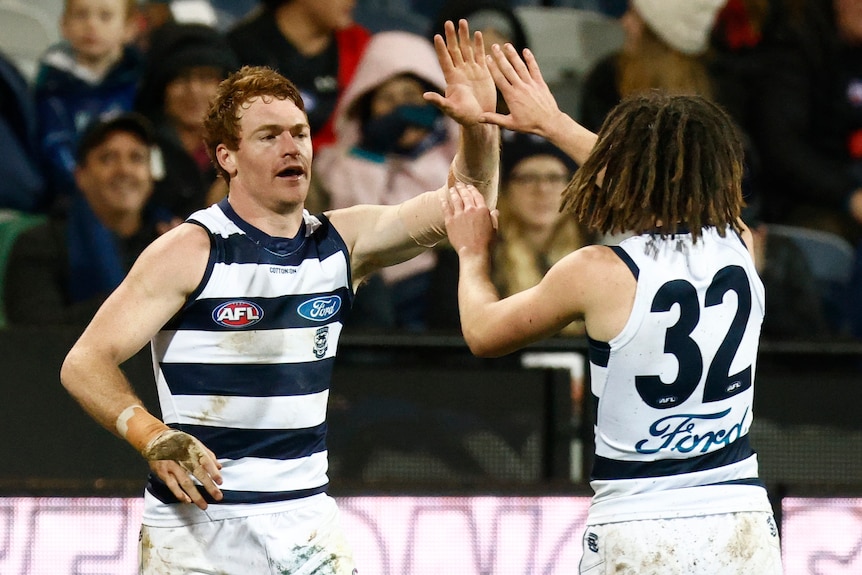 Two Geelong AFL players congratulate each other after a goal was kicked.
