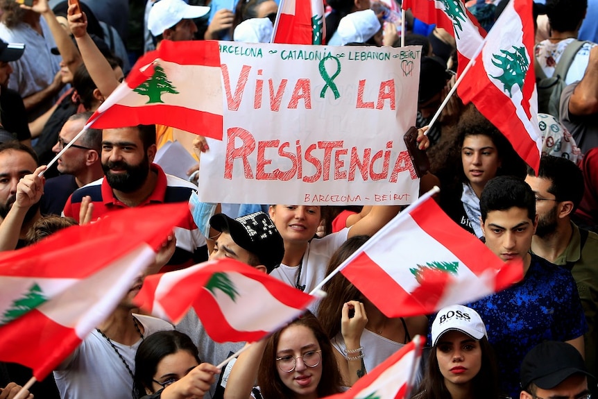 Protesters waving flags and signs