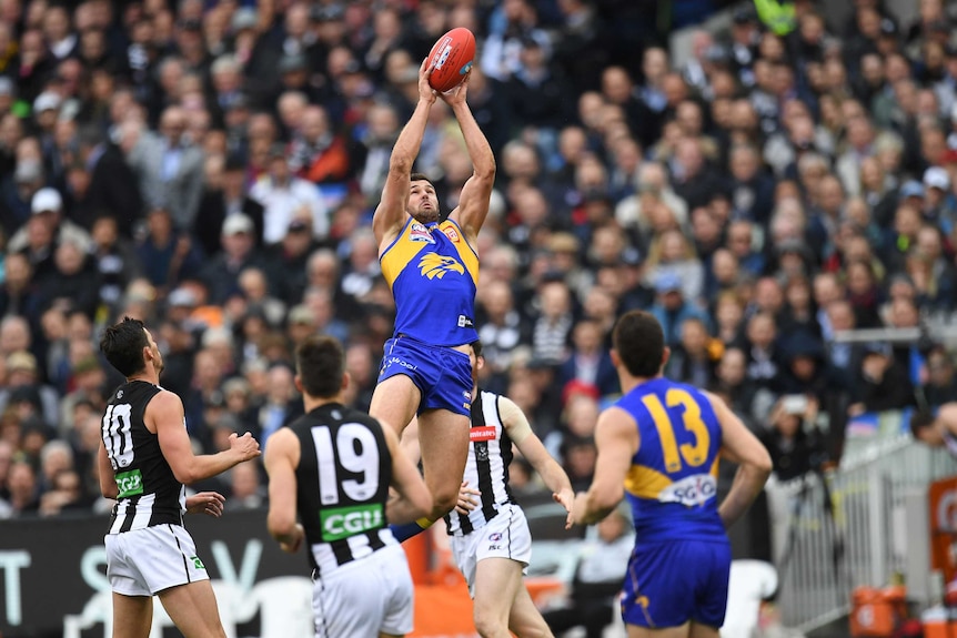 A West Coast Eagles player flies above the pack with his hands above his head to catch the ball