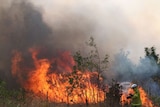 Generic photo of anonymous Qld firefighter backburning unidentified bushland.