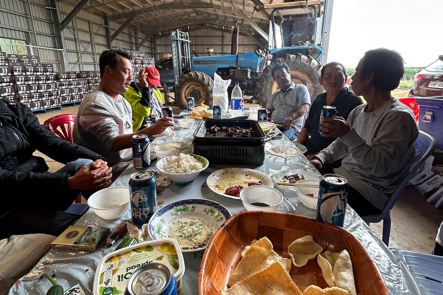 A group of farmers having a meal in a shed.