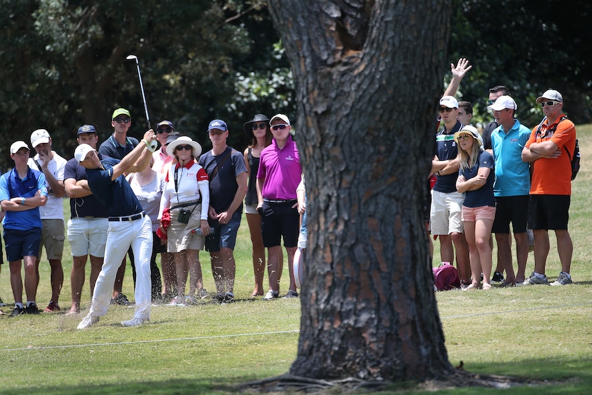 A golfer hitting a ball next to a large tree while spectators stand behind watching.