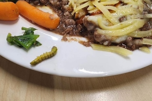 A plate of spaghetti with a bug on the side.