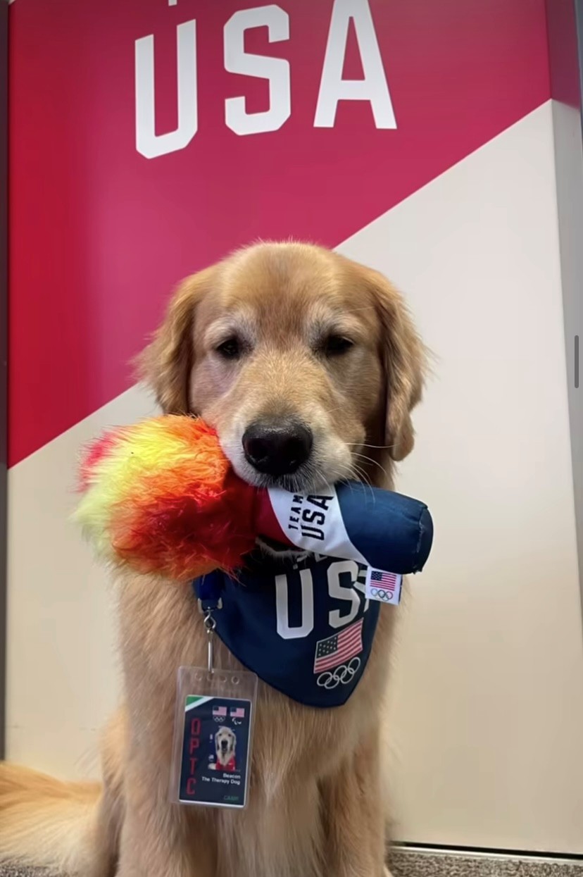 Beacon the dog holds a Team USA toy