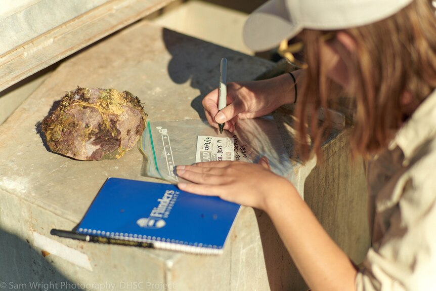 Close-up of a person's hands writing a label on a plastic bag with a rock-like object sitting next to it.
