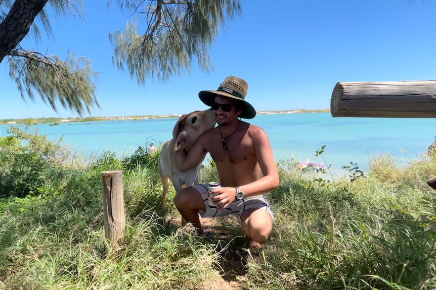 A shirtless young man in a straw hat grinning while a young bull nibbles at his ear.