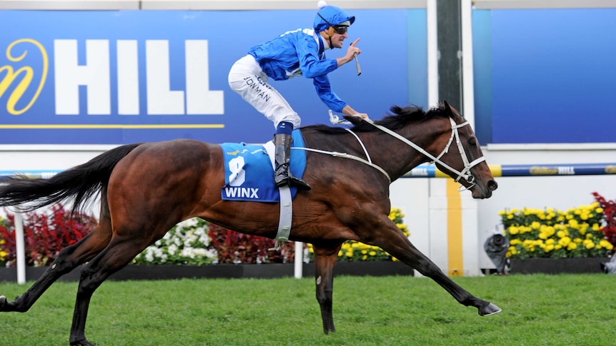 Winx ridden by Hugh Bowman wins the 2016 Cox Plate at Moonee Valley.