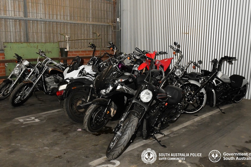 Motorbikes seized by police in South Australia.