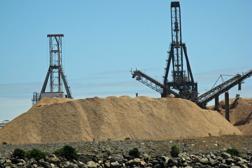 China pulp mill has water cut-off due to drought causes Tasmanian woodchips to be diverted on water