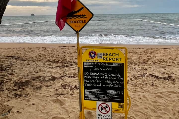 SLS beach report advising against swimming with a crocodile sign