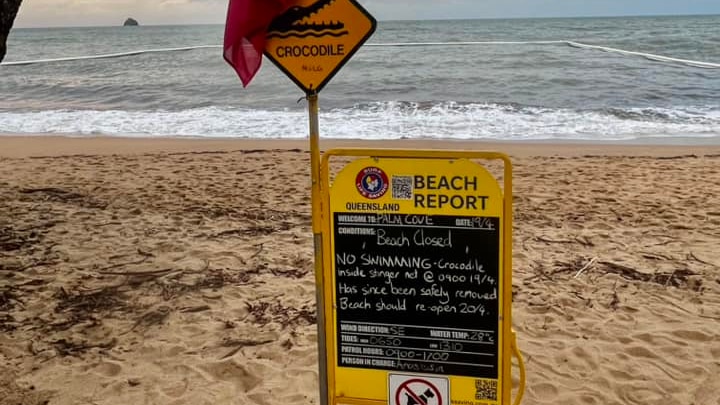 SLS beach report advising against swimming with a crocodile sign