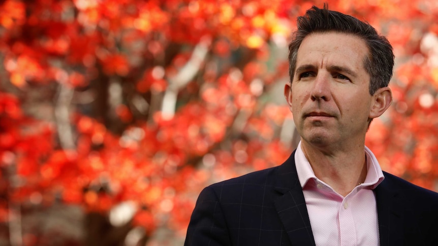 Simon Birmingham looks into the distance with a vibrant red tree behind him