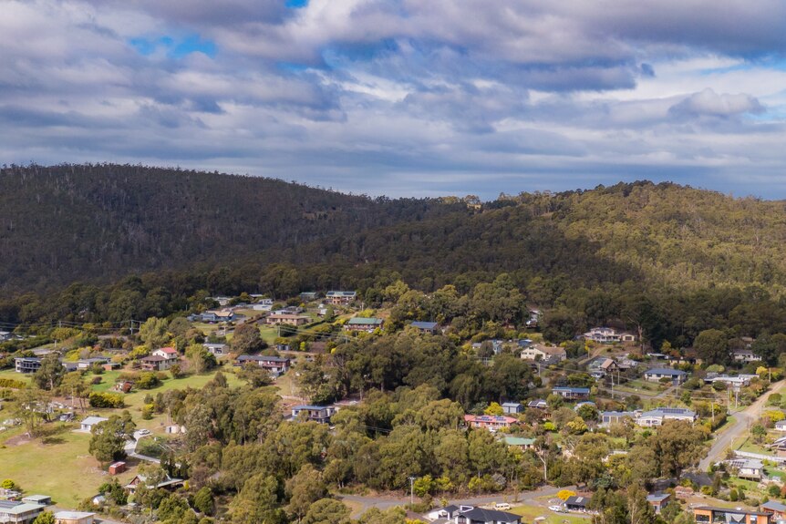 A wide view of a small town in a valley surrounded by forest