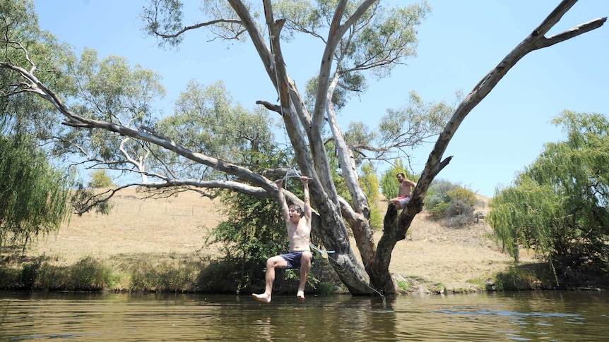 Cooling off in the Yass River
