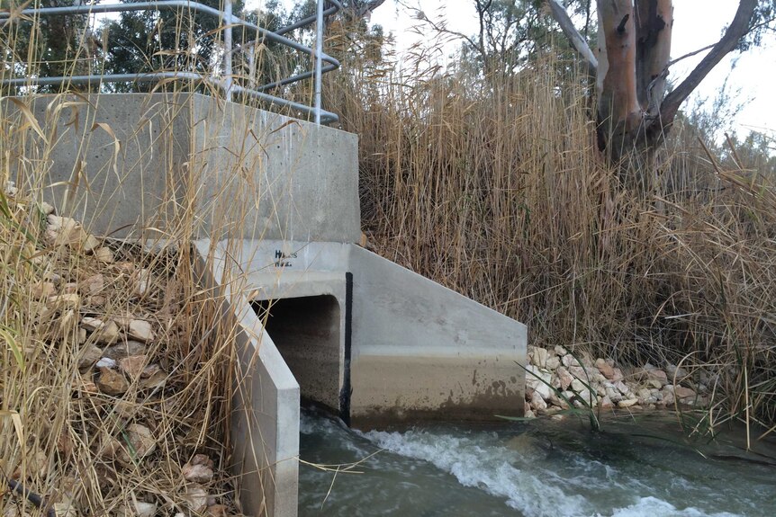 Water flows through the flood gate connecting the Murray River and the Banrock Wetland.