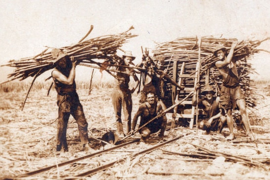 A gang of six men load large bundles of hand-cut cane onto a wooden cart which would then be pulled along portable rail lines.