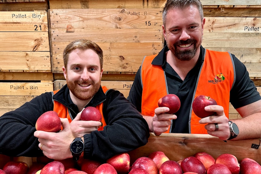 Two men holding apples in their hands and standing behind a pallet of apples.