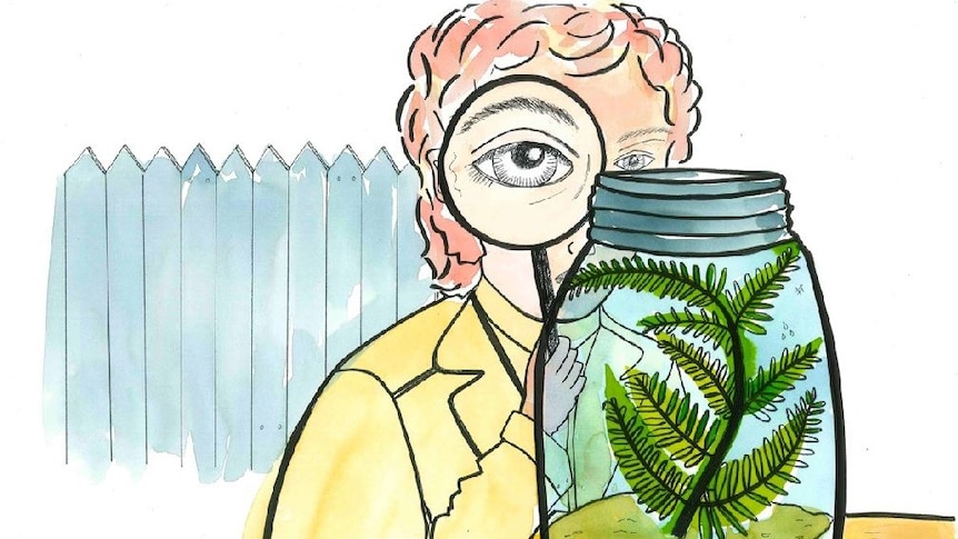 A drawing of a man peering into a glass jar containing a plant.