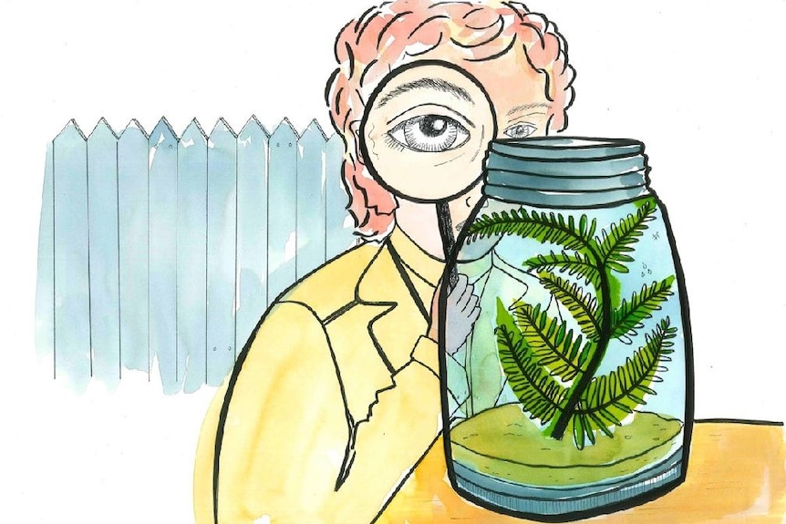 A drawing of a man peering into a glass jar containing a plant.