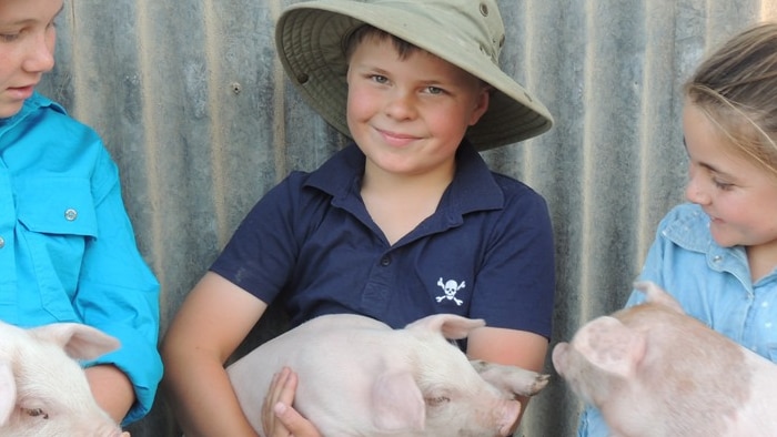 The three Anderson kids against a corrugated iron wall with three piglets.