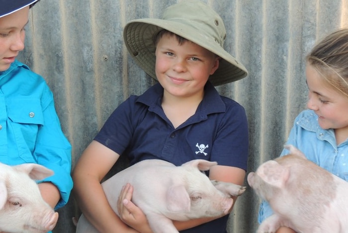 The three Anderson kids against a corrugated iron wall with three piglets.