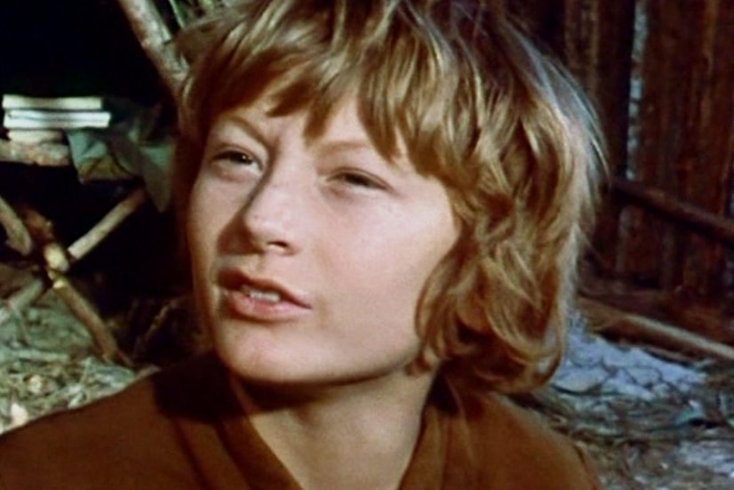 A 12 year old boy with brown hair, looking into the distance, in the 1970s.