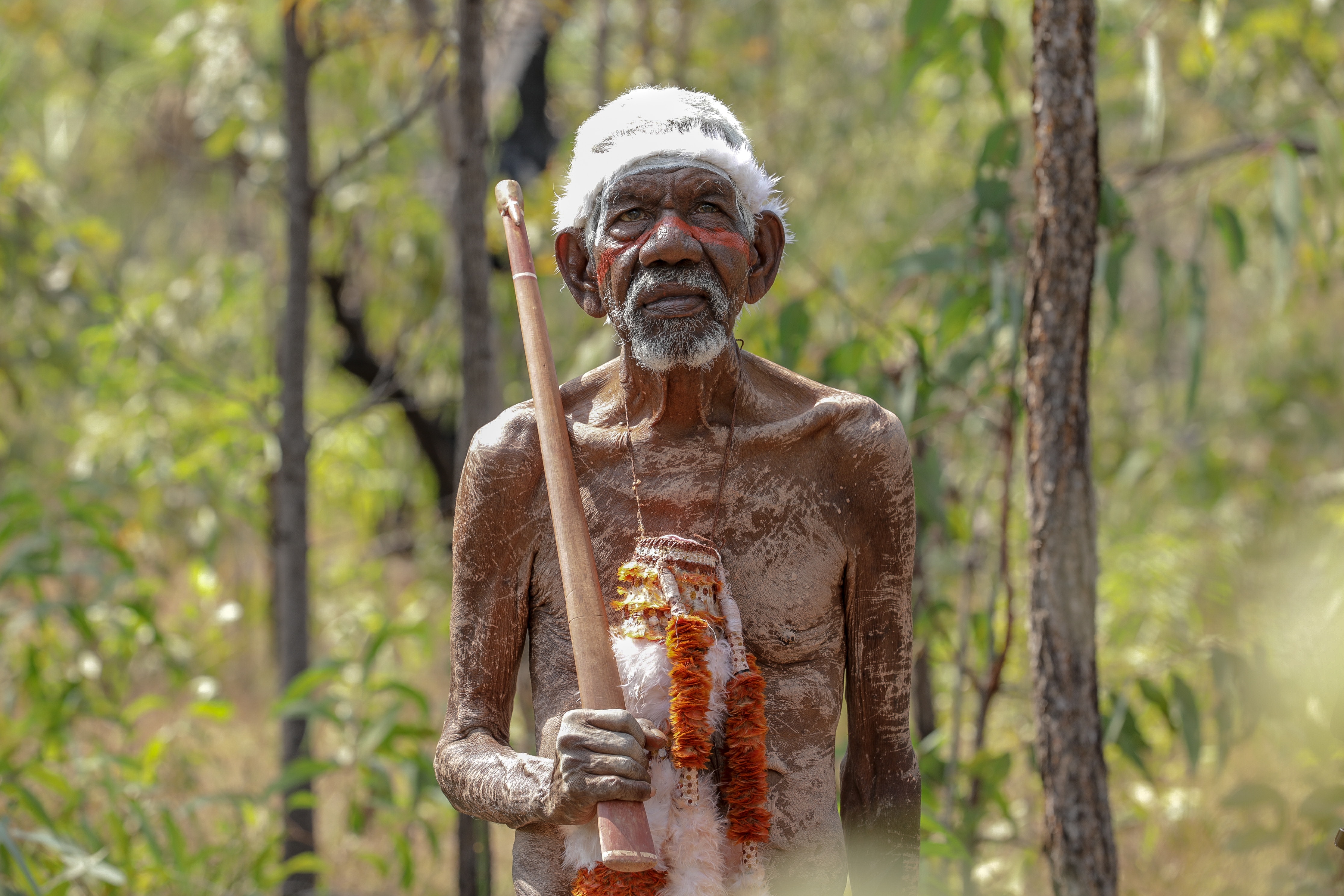 an aboriginal man wearing traditional dress